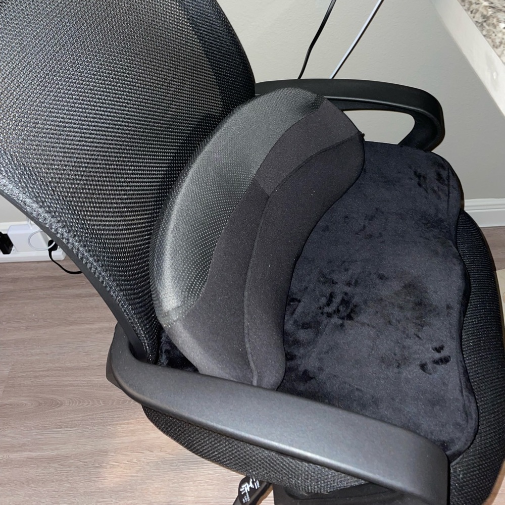 Back support cushion